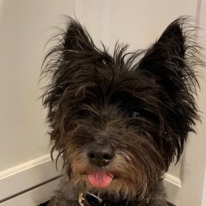 Meet your Posher, Cynthia